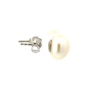 Freshwater Button Shaped Pearl Stud Earrings