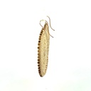 Woven Disc Sunset Earrings