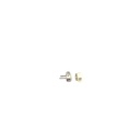 Petite Pearl Studs In Sterling Silver