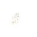 Champagne Topaz 13.5 carats