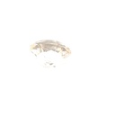 Champagne Topaz 13.5 carats