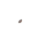 Sapphire 0.70Carat