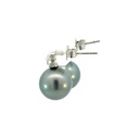 Tahitian Pearl Earrings With A Flower Stud