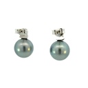 Tahitian Pearl Earrings With A Flower Stud