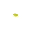 chrysoberyl 2.85Carat