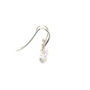 Triggerfish Earrings In Sterling Silver