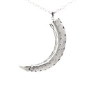 Pig Tusk Pendant With Silver Overlay