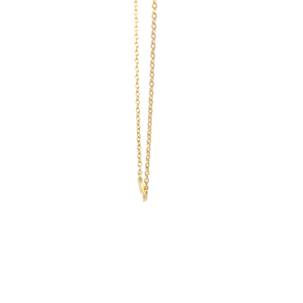 Petals "fortune" Silver Necklace