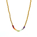 Multi Coloured Gemstone and Gold Plated Bead Necklace