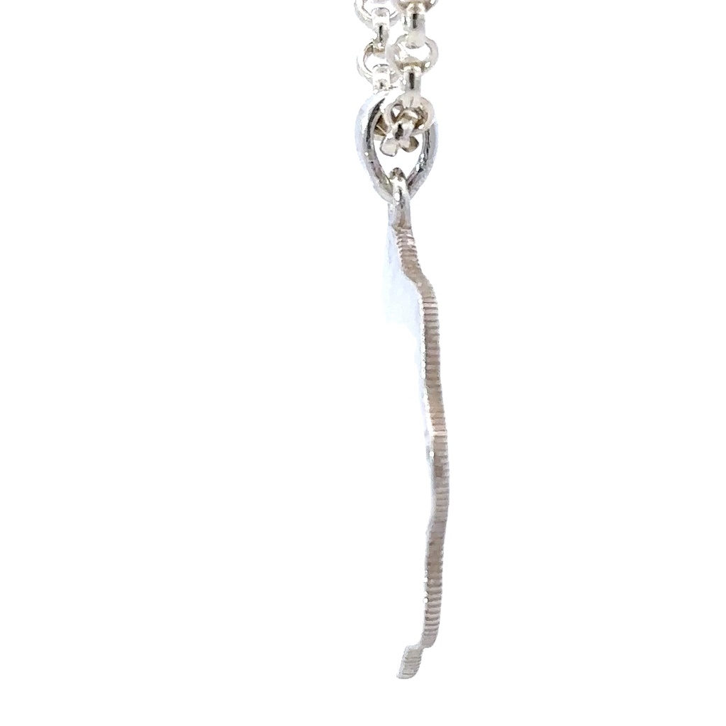 Sterling Silver Wilson's Bird Of Paradise Pendant