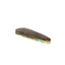 Captivating Coral & Bright Blue Opal Gemstone 9.06 Carats