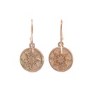 Sparkling Rose Gold Drop Earrings with Elegant Star Motif