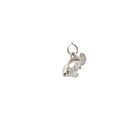Sterling Silver Clown Fish Pendant
