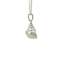 Sterling Silver Neptunea Shell Pendant