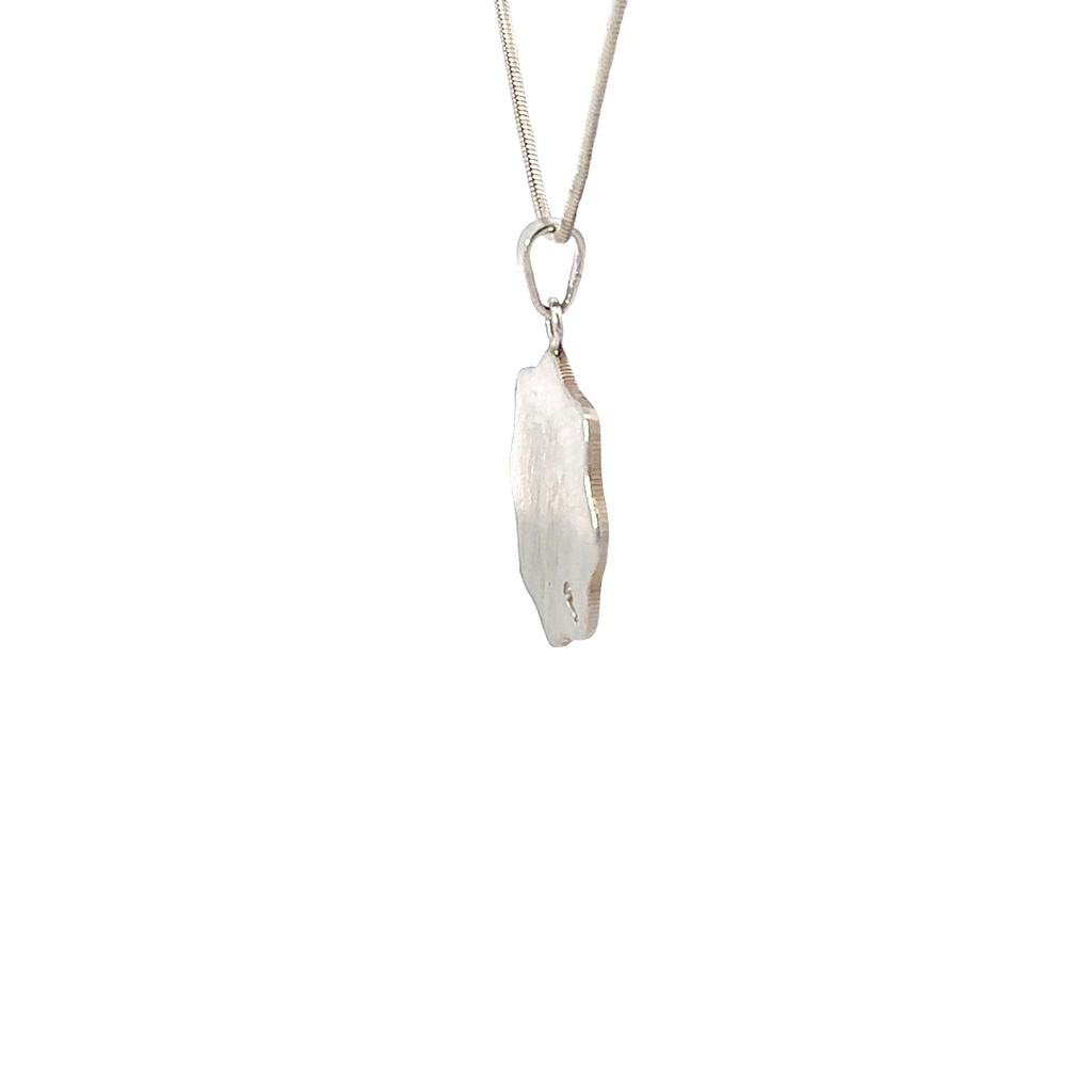 Wilson's Bird of Paradise Pendant Silver