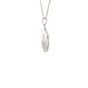 Wilson's Bird of Paradise Pendant Silver