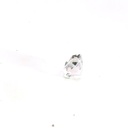 Watermelon Tourmaline 2.05 Carats