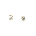 Silver Tiger Studs Exquisitely Fierce Elegance