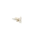 Silver Tiger Studs Exquisitely Fierce Elegance