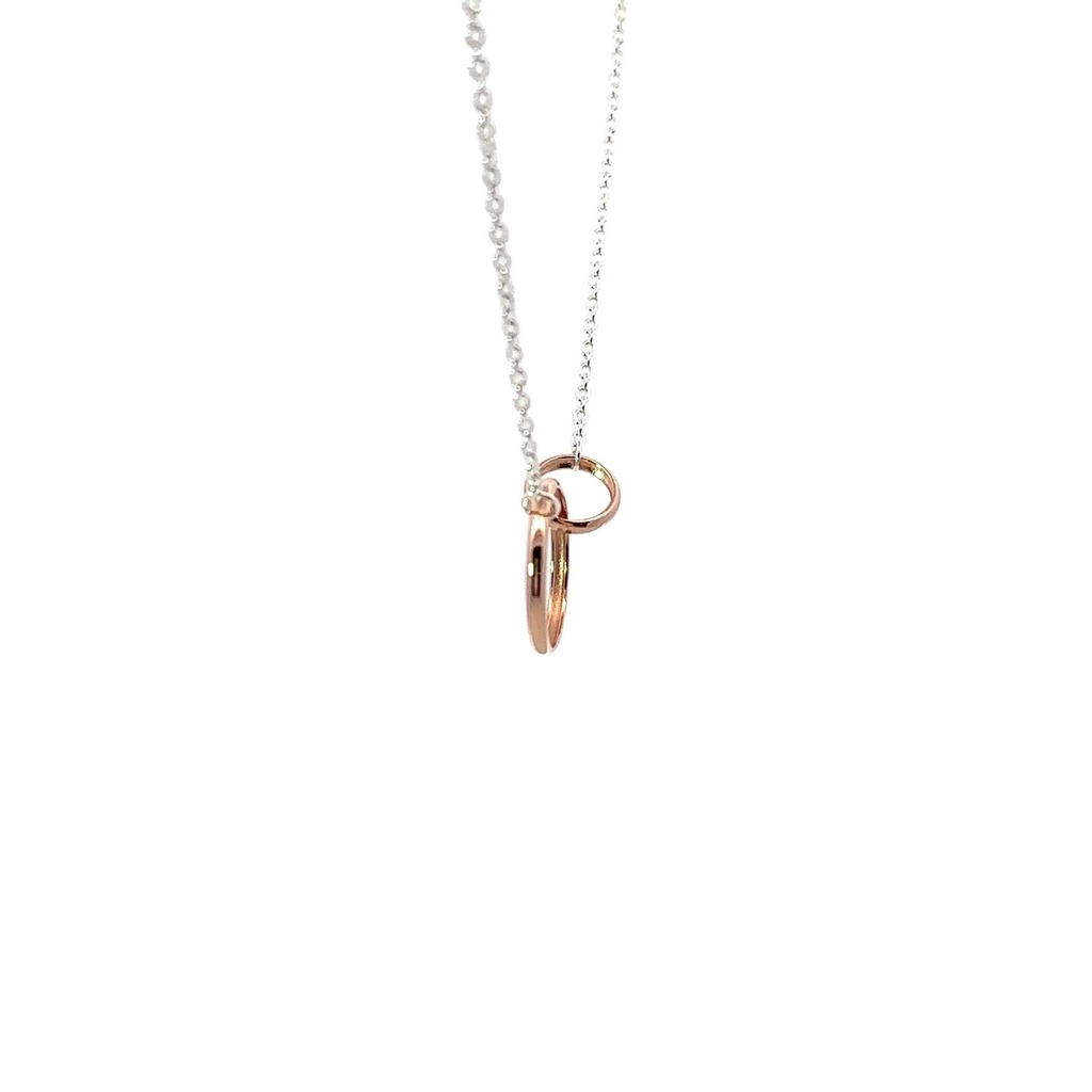 Petals Silver Necklace "Granddaughter"  With Linked Circles