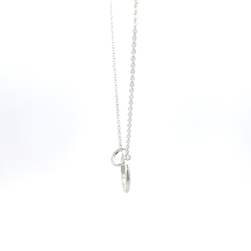 Petals Silver Necklace | "Cousins" With Linked Circles