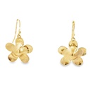 Earrings | 9K Gold Frangipanies