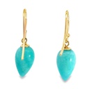 Earrings | Inverted Amazonite Drops 9K Gold Hooks