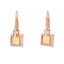 Earrings | Citrine In 9 Carat Gold