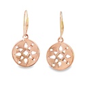 Pierced Design Drop Earrings In 9K Yellow Gold (copy)