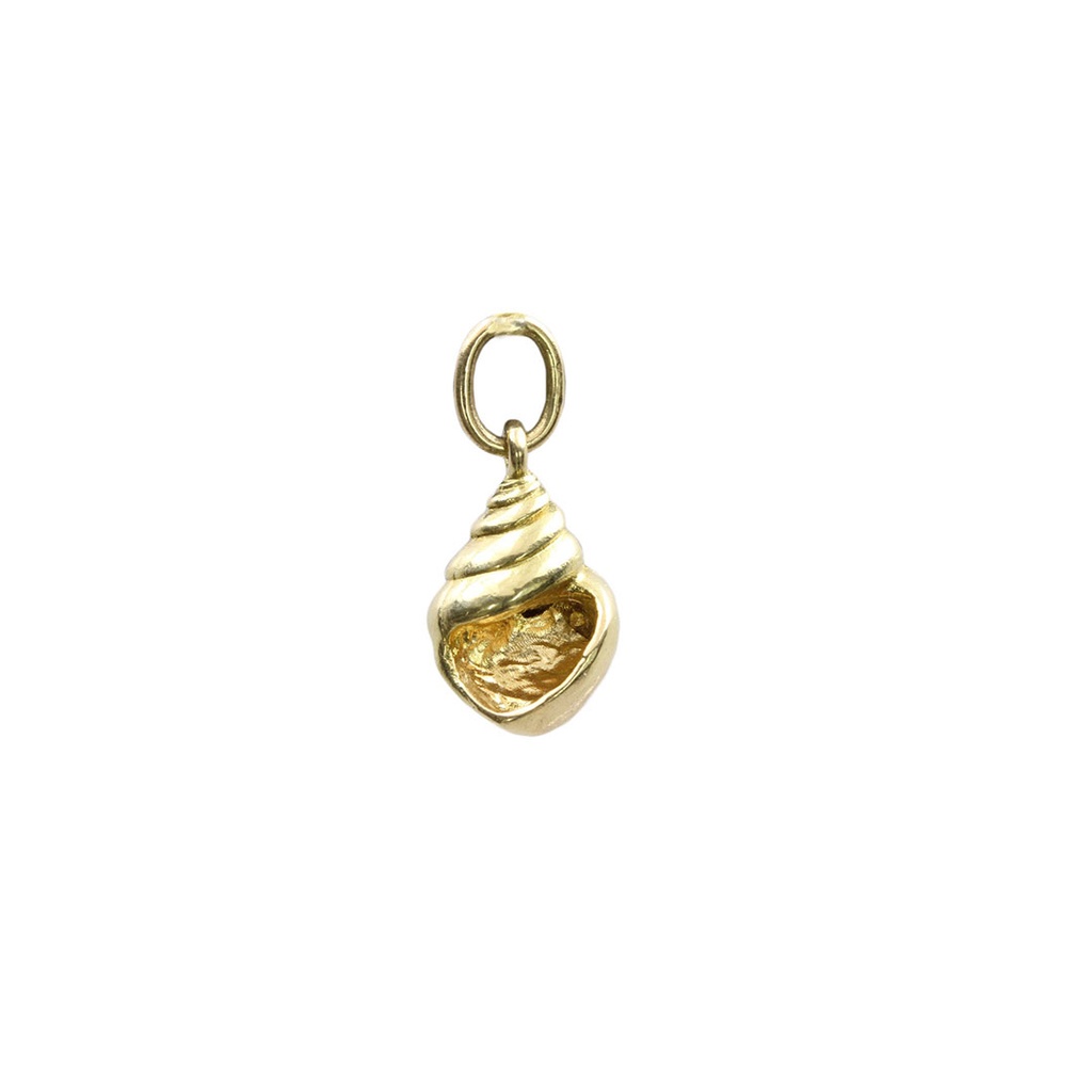 Neptunea Shell Pendant In 18ct Yellow Gold