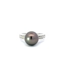 Tahitian Pearl & Diamond Ring In 14K White Gold