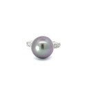 Tahitian Pearl & Diamond Ring In 14K White Gold