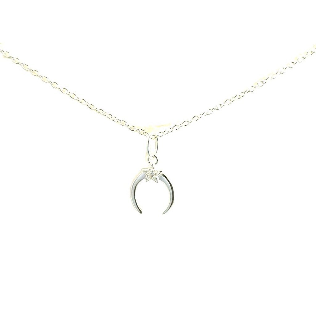 Petals Sterling Silver New Best Friend Moon Necklace