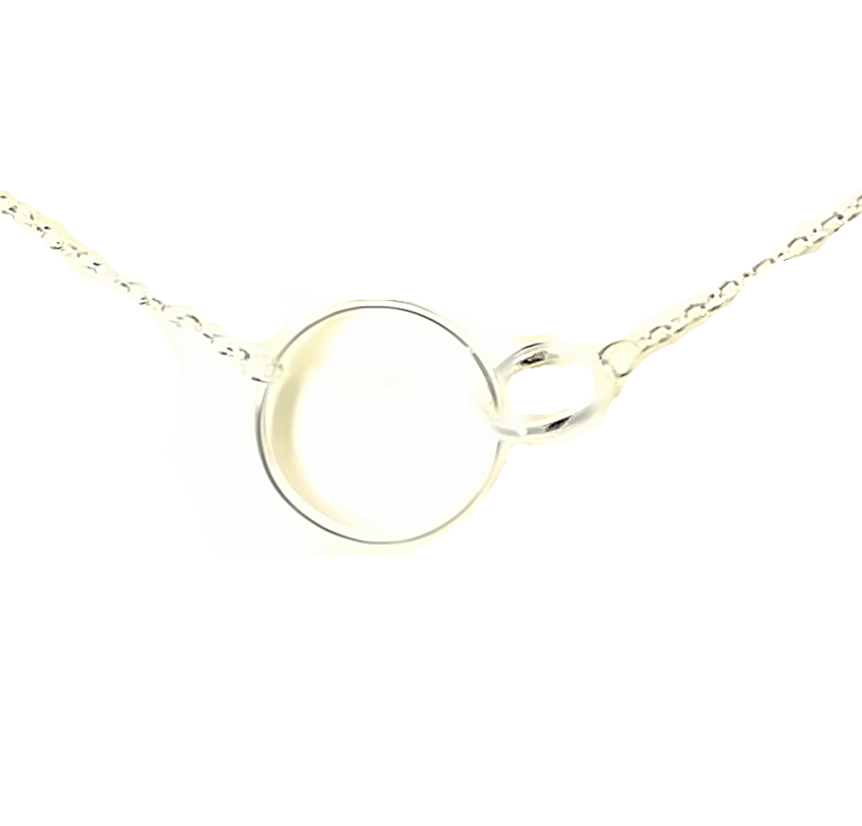 Petals "Linked Forever" Circle Silver Necklace
