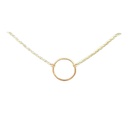 Petals Silver 'Friends' Circle Necklace