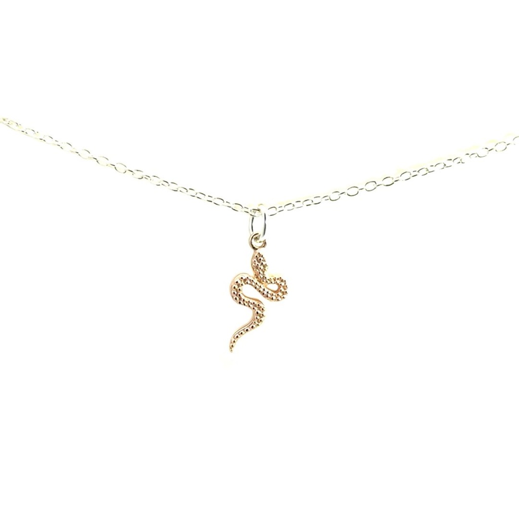Petals Serpent "Change Is Inevitable" Silver Necklace