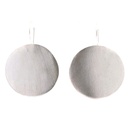 Flat Satin Finished Disc Earrings In Silver