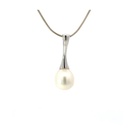 Freshwater Pearl Pendant On A silver Bail