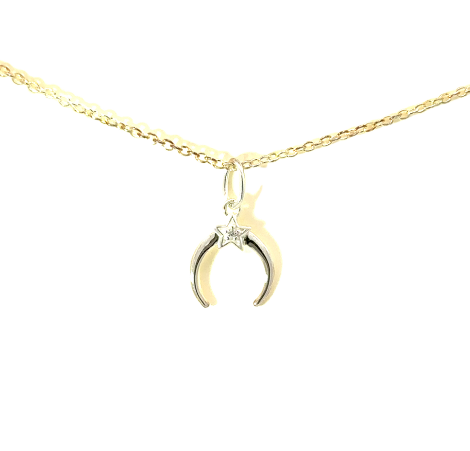 Petals Silver Necklace Crescent Moon & Star "A New Best..."