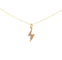Petals Lightning Strike "Go forward.." Silver Necklace