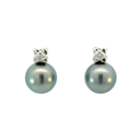 Tahitian Pearl Earrings With A Flower Stud