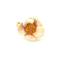 Blooming Roses Ring In Gold Plated Brass & Enamel