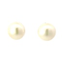 Freshwater Button Shaped Pearl Stud Earrings