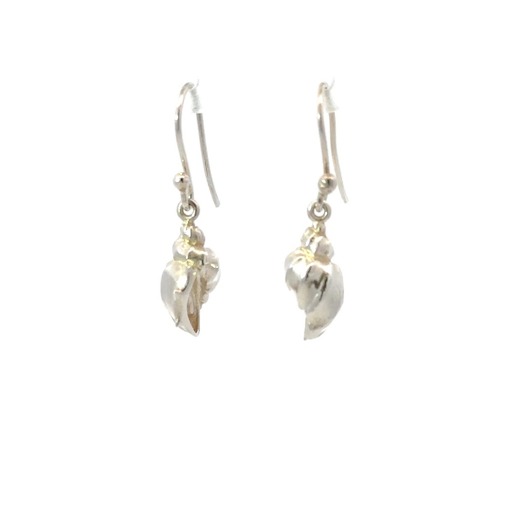 Conch Shell Earrings In Sterling Silver