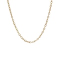 Stainless Steel Chain | 14K Gold Plated 55cm