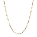 Plated 14K Gold Stainless Steel Necklace 55cm