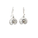 Cephalopoda Shell Earrings In Sterling Silver