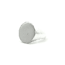 Signet Ring In Sterling Silver With Brushed Finish