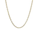 Men's Chain in 14K Plated Stainless Steel