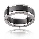 Zirconium Band With White Gold Rivets
